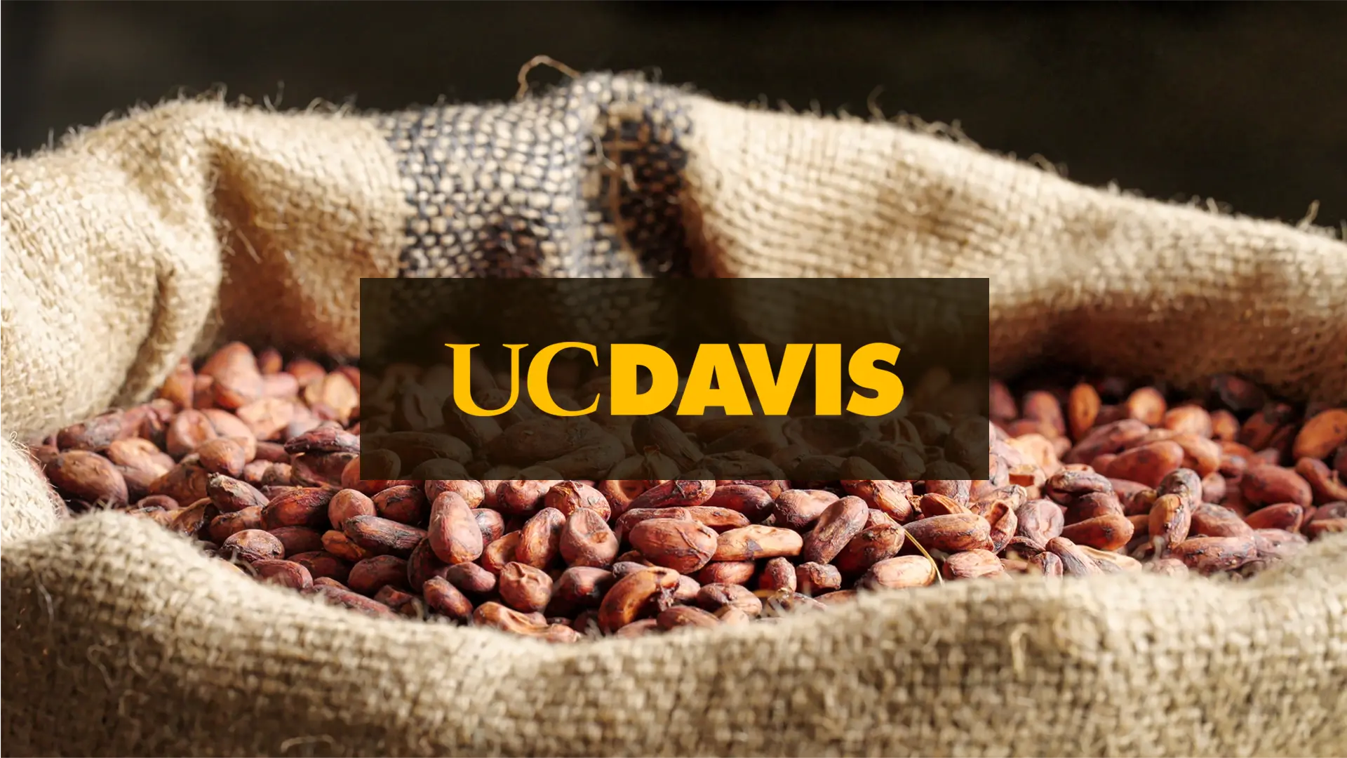 The hidden complexity of food: Mapping the “Dark Matter” of nutrition