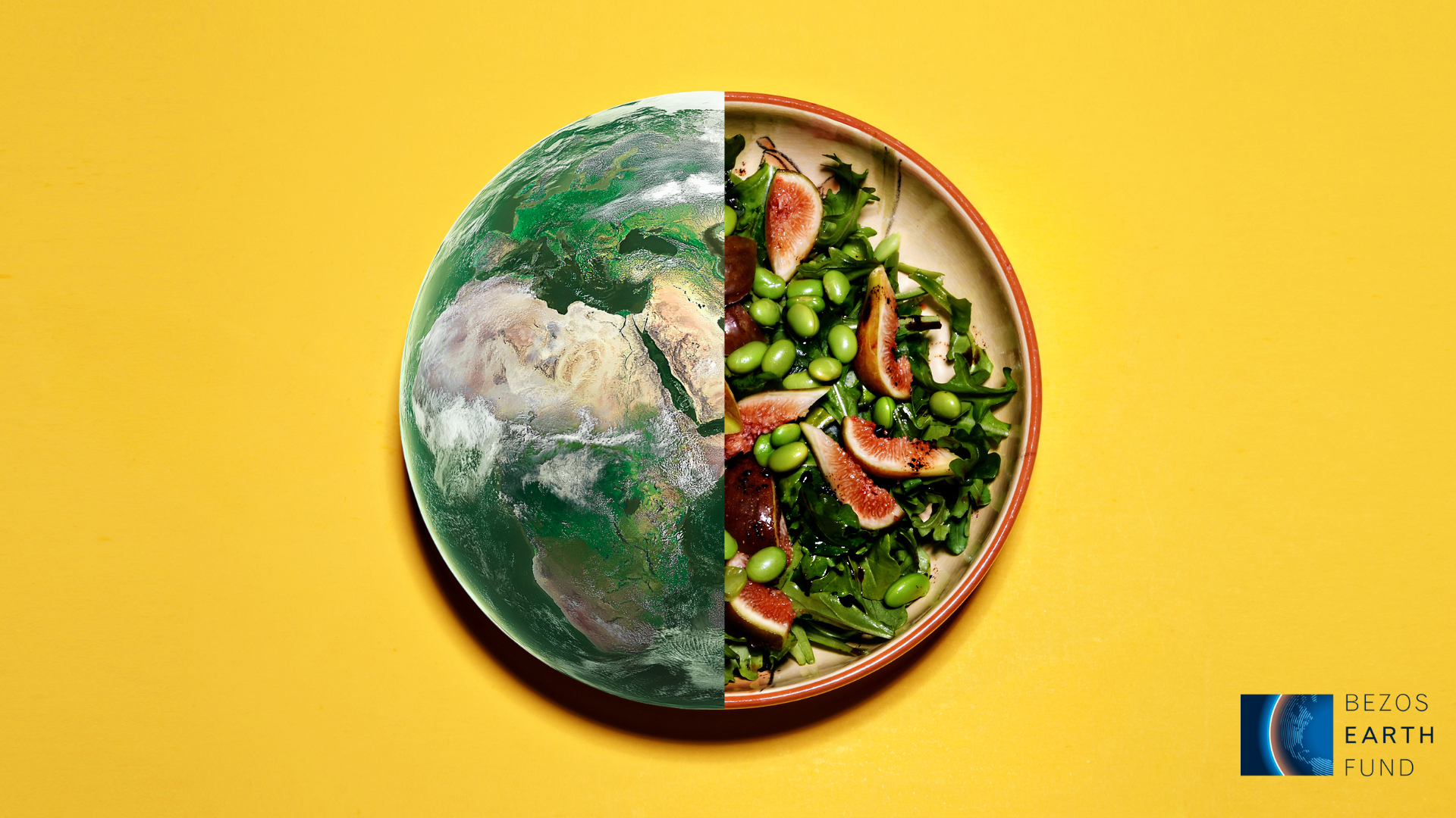PIPA and Partners Awarded $2M from the Bezos Earth Fund for AI-Driven Sustainable Food Formulation