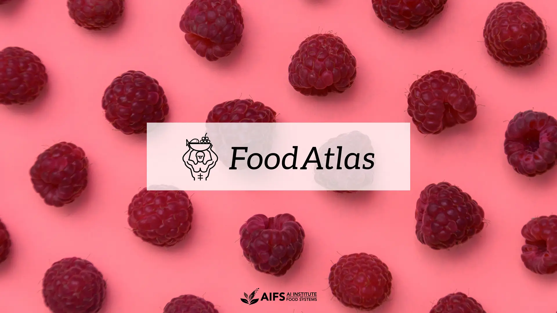 What’s in the food I’ve eaten today? Meet the AI that has the answer