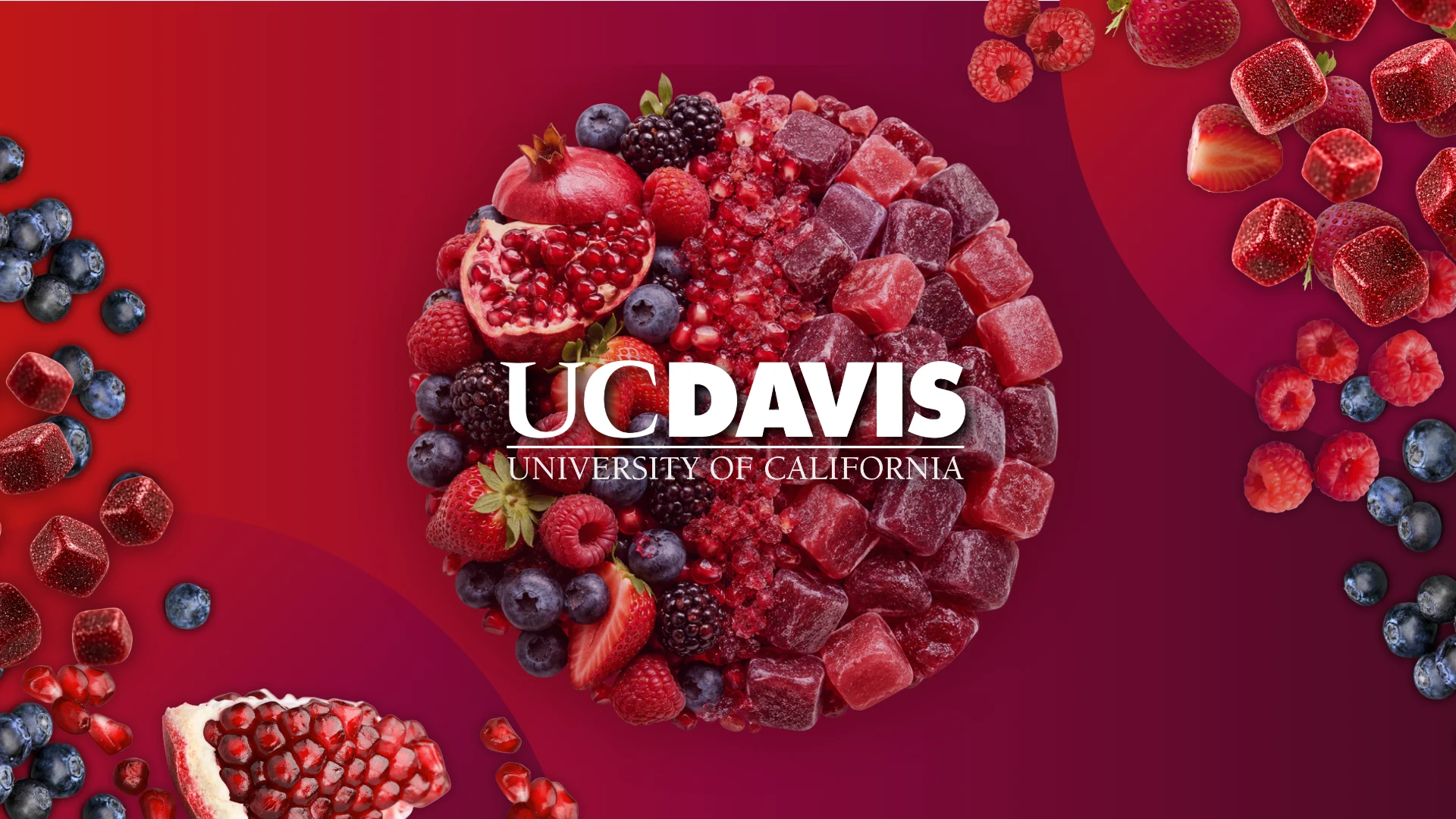 AI and Extruded Snacks: A Guest Lecture at UC Davis by Travis Mavrich, PhD