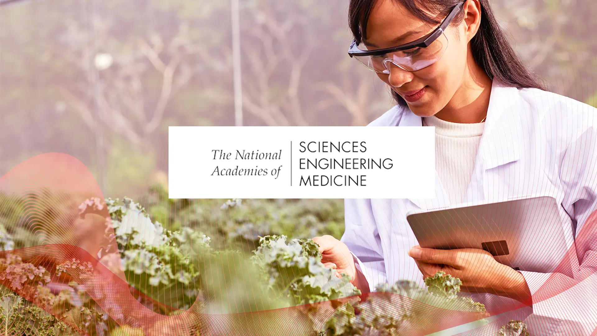 AI for Evidence Synthesis &&nbsp;Generation in Food/Nutrition Science: National Academies Experts Meeting